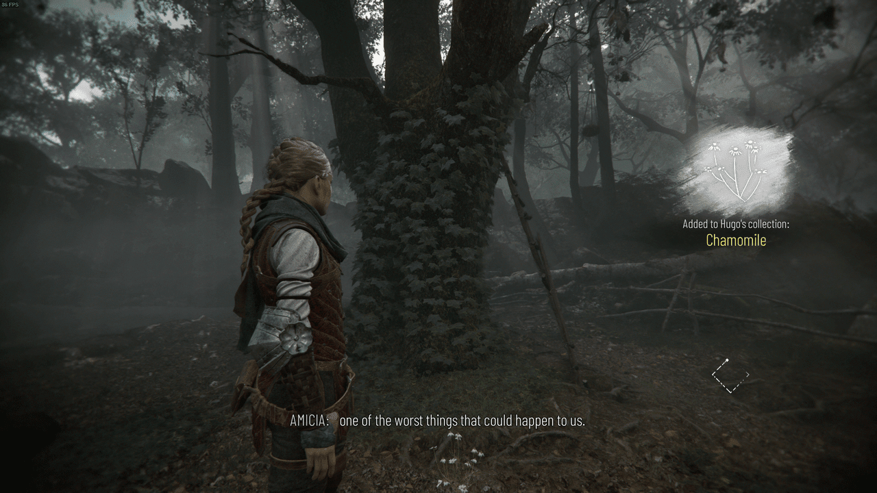 A Plague Tale: Requiem Flowers