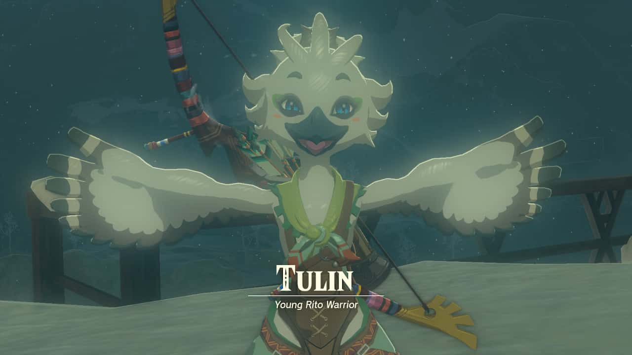 Tears of the Kingdom what to do first: A close-up of the young Rito Tulin.