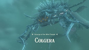 Tears of the Kingdom Colgera: The Colgera boss from Tears of the Kingdom.