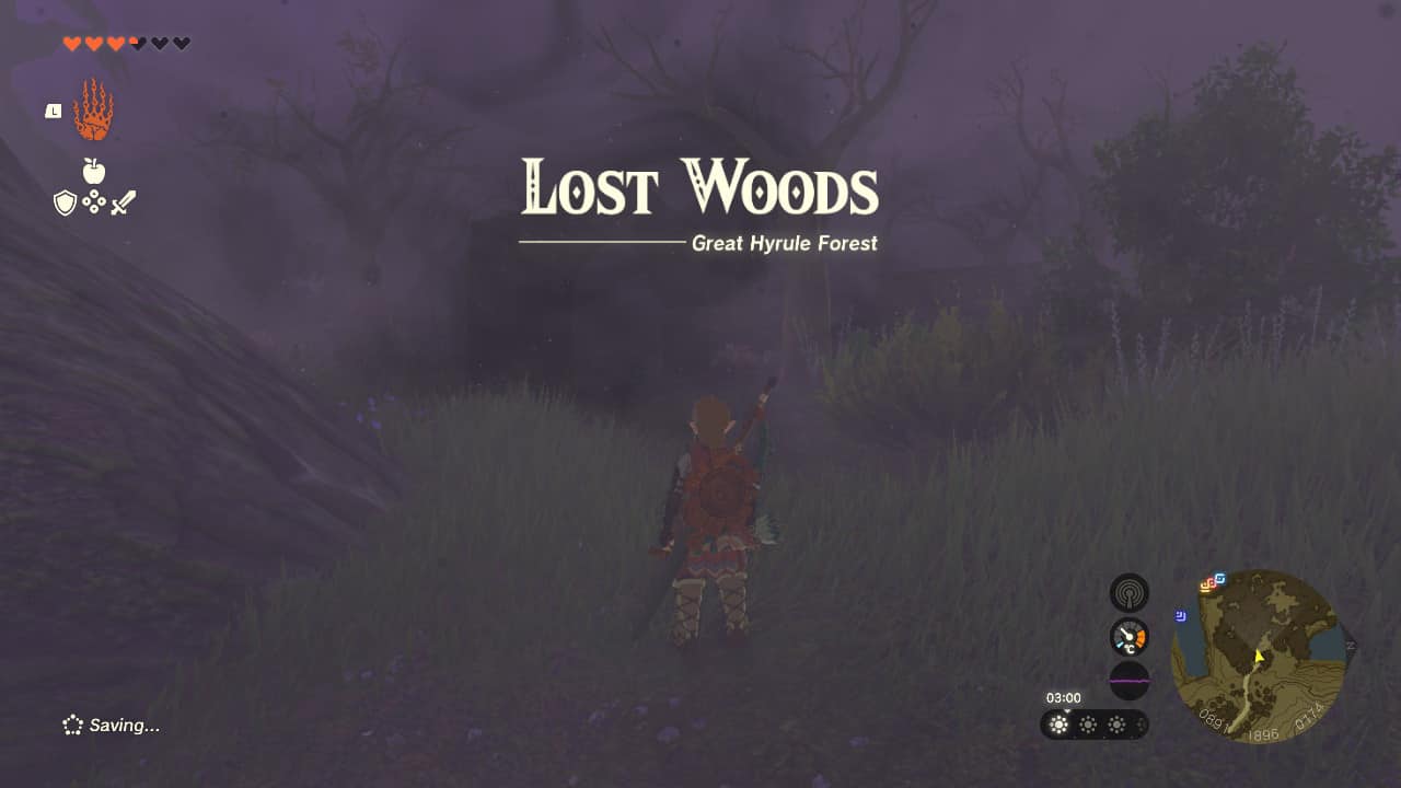 Tears of the Kingdom Lost Woods: Link at the main entrance to the Lost Woods. A dense purple fog obscures the trees in the distance.