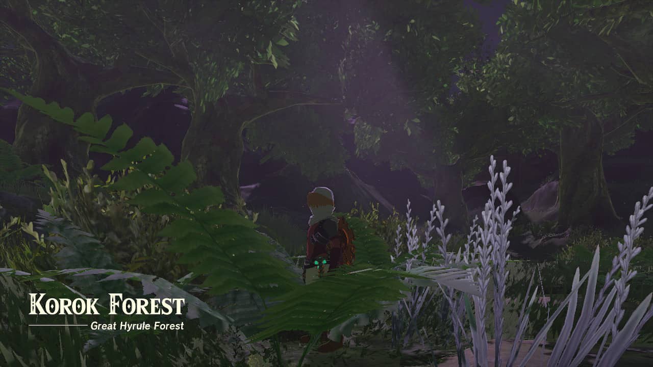 Tears of the Kingdom Lost Woods: Link standing in the densely wooded Korok Forest.