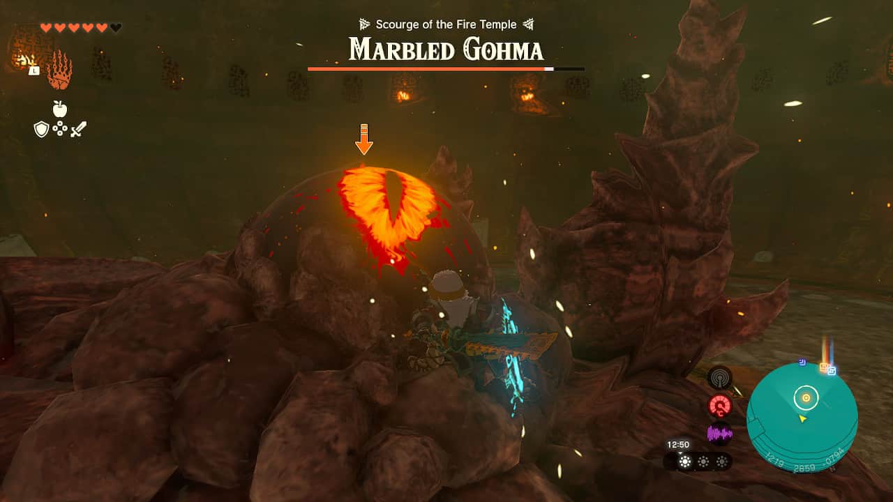 Tears of the Kingdom Marbled Gohma: Link hitting Marbled Gohma's eye with a sword.