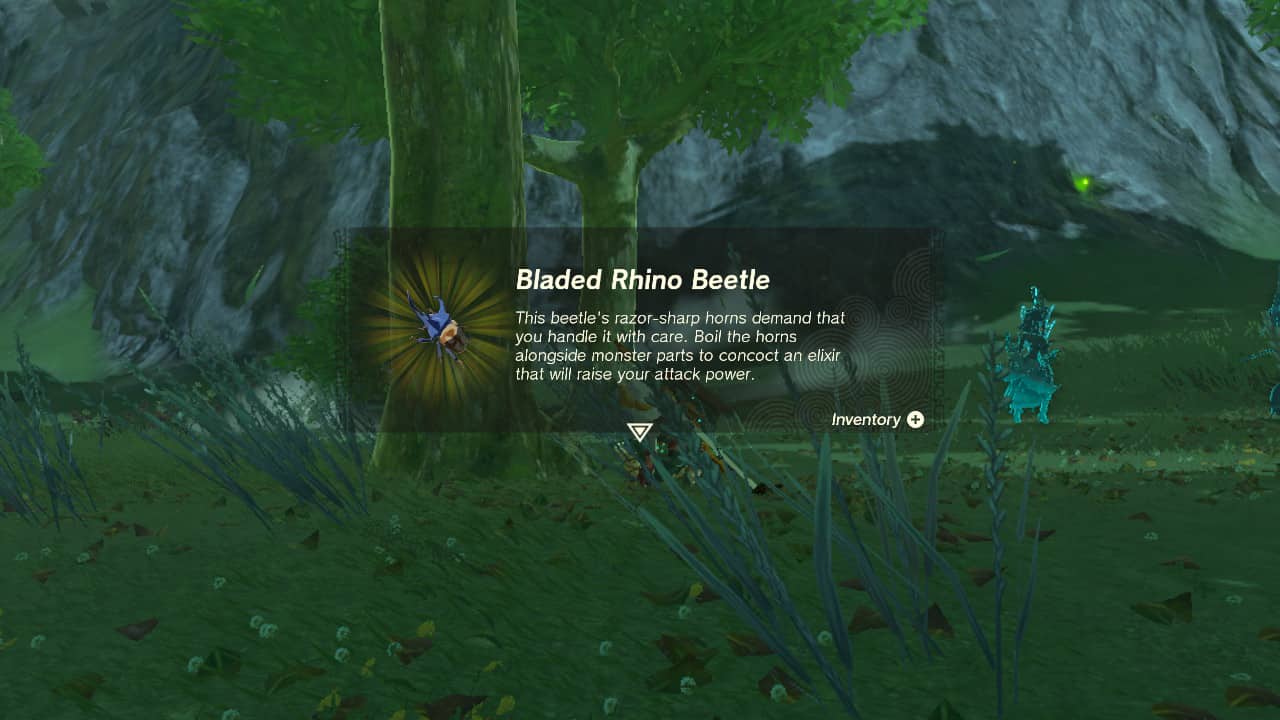 Where to get Bladed Rhino Beetles in Tears of the Kingdom