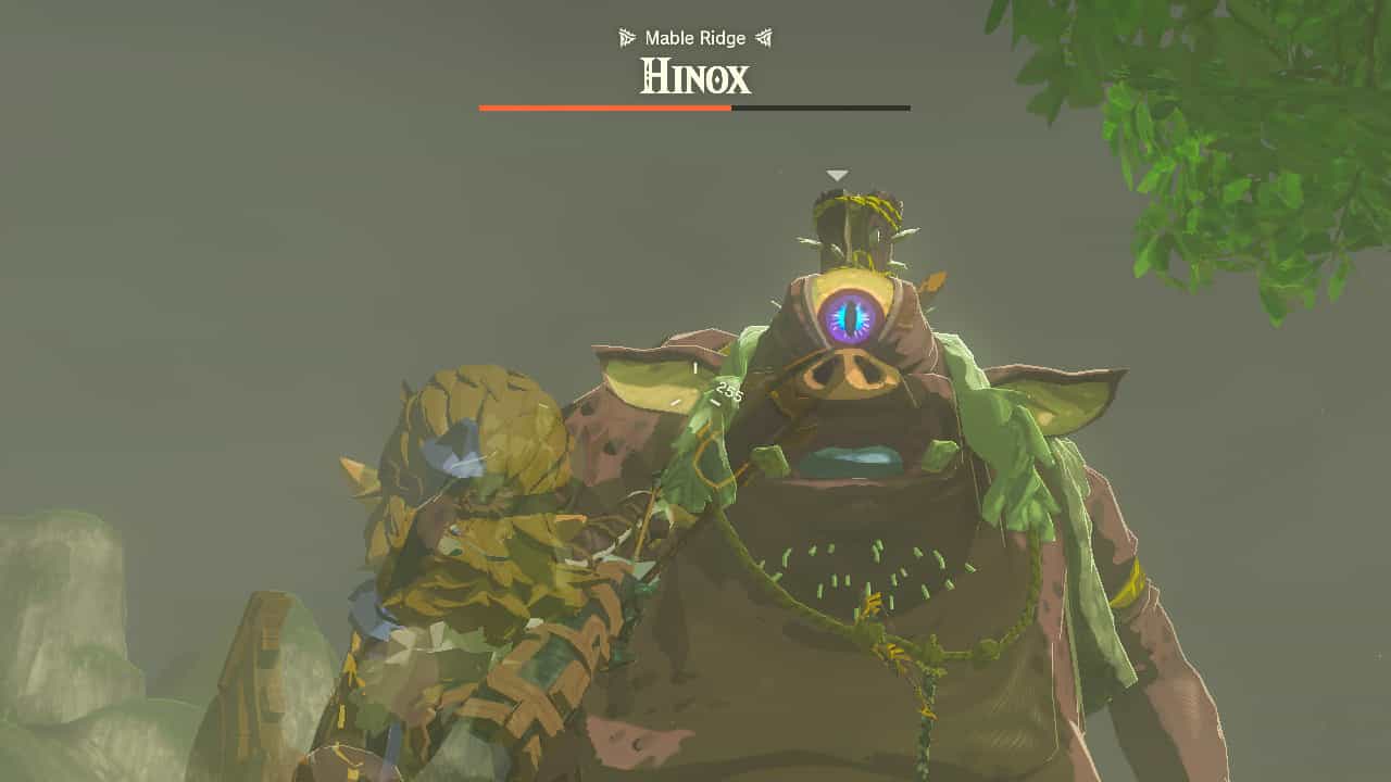Tears of the Kingdom Hinox locations: Link aiming an arrow at a Hinox's eye.
