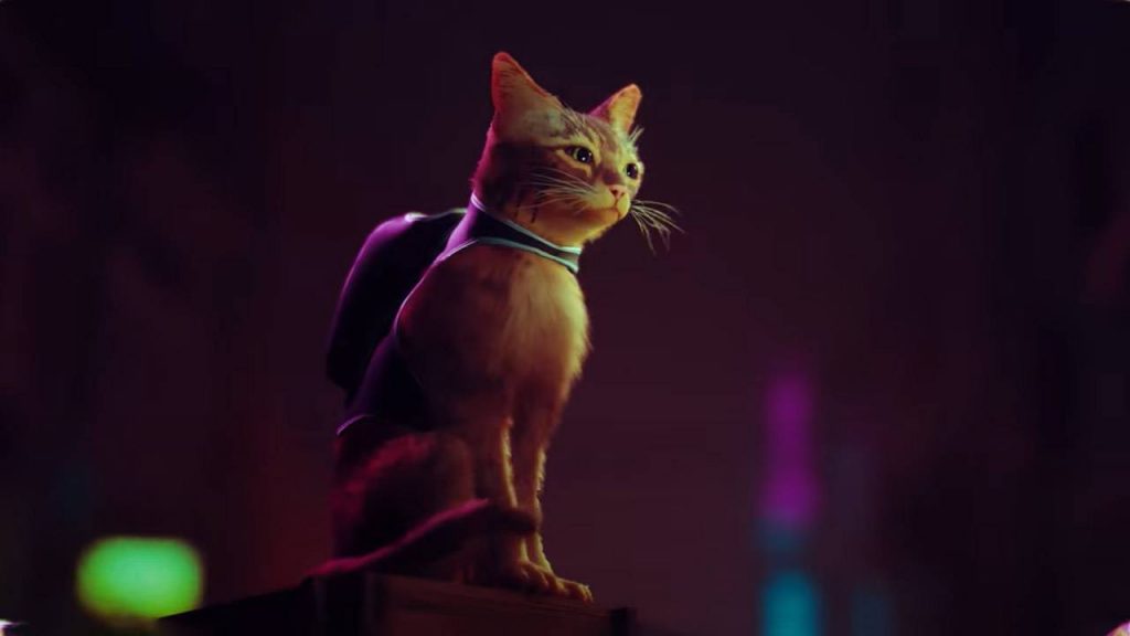 Stray is a pretty platformer about a cat with a backpack, and it’s coming to PC and PS5