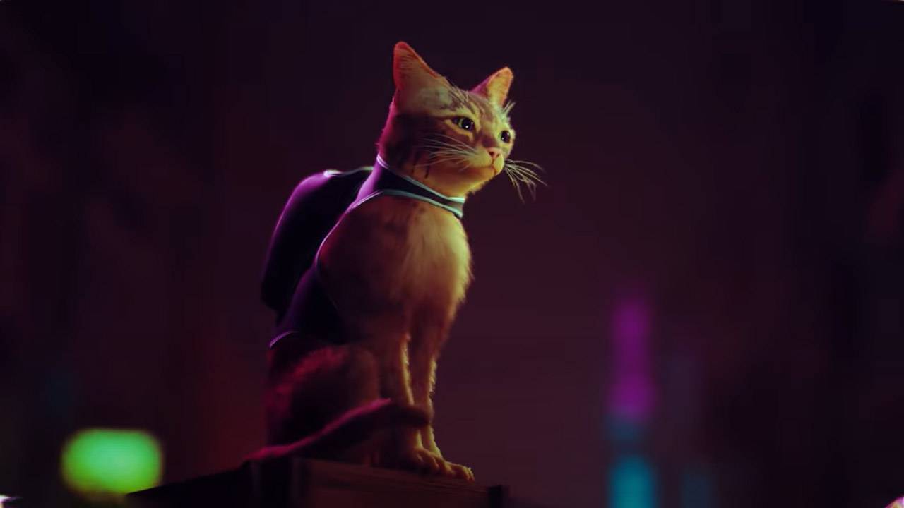 Stray is a pretty platformer about a cat with a backpack, and it’s coming to PC and PS5
