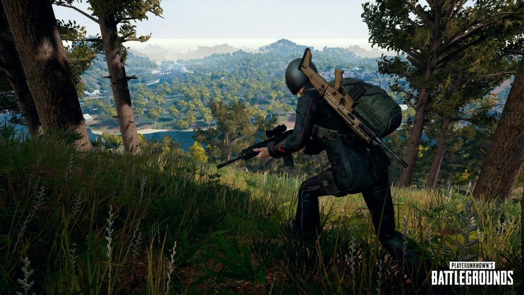 PUBG’s Savage map has a new name and it’s partly inspired by chicken