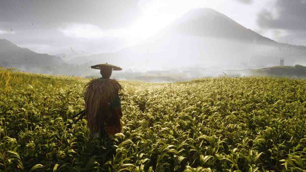 Atsu wearing a straw cloak and samurai hat standing in a golden field in Ghost of Yotei, looking at a distant mountain under bright sunlight.