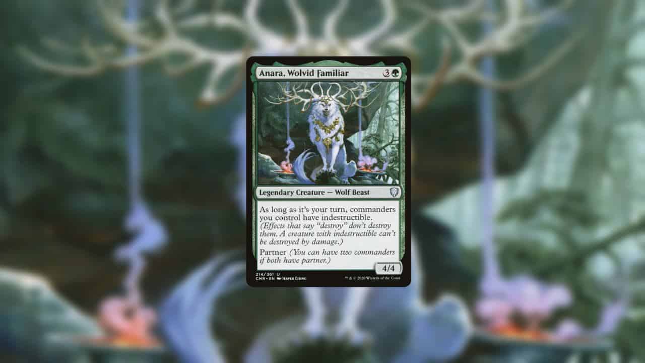 card image of anara wolvid familiar in magic the gathering