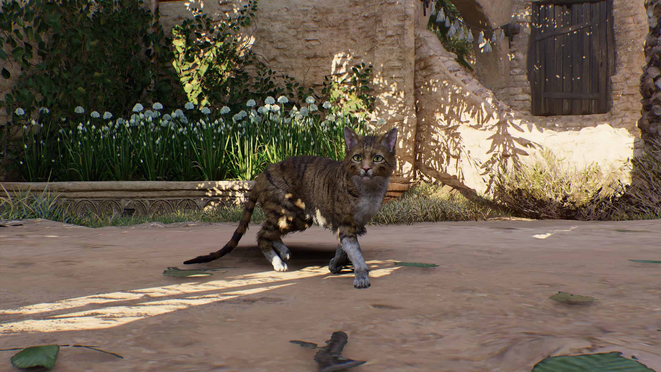 AC Mirage – can you pet the cats?