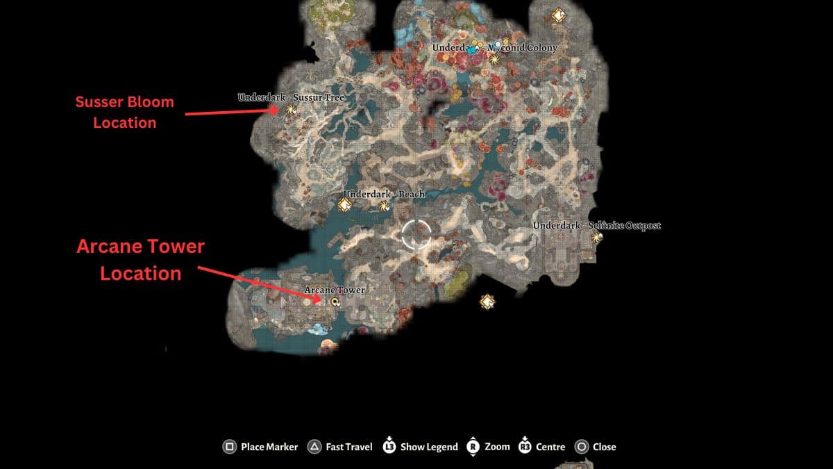 A map location of the arctic tower for BG3 help Omeluum.