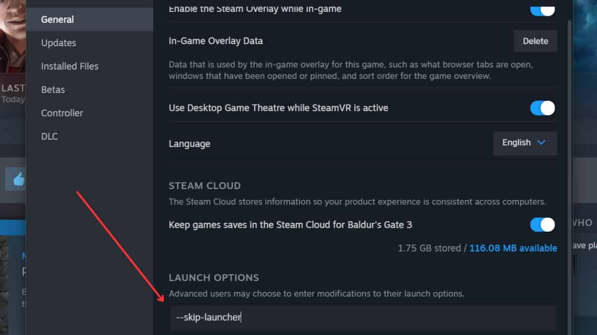 A screenshot showing the blank launcher for a steam game.