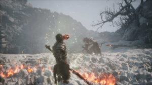 Picture of Wukong in the snow.
