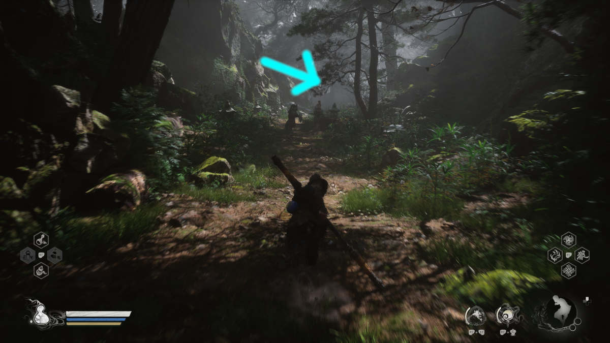 Picture of the Outside the Forest area in Black Myth Wukong.