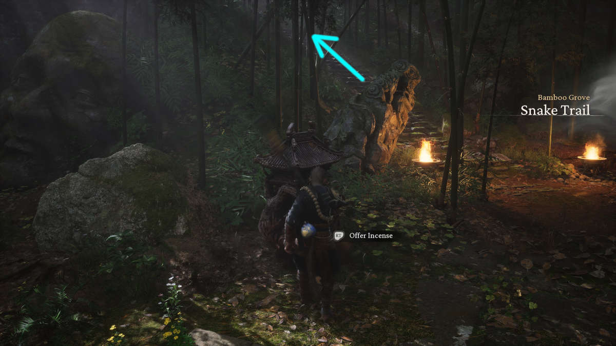 Picture of the Snake trail area of Black Myth Wukong.