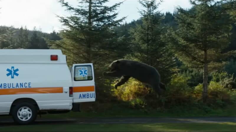 cocaine bear story is it a true story thumbnail