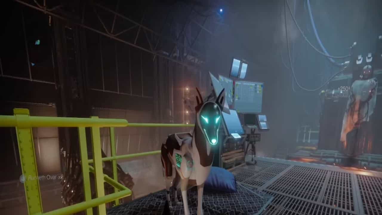 Destiny 2 brought back Archie the Dog and players want him relocated