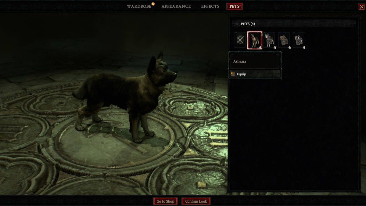 How to equip a pet in Diablo 4