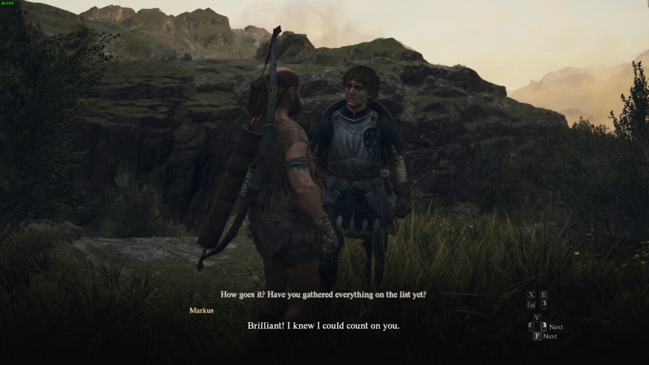 Two characters in a video game engaged in a conversation about how to get Salubrious Draught in Dragon's Dogma 2 Provisioner's Plight quest, in a lush, outdoor environment.