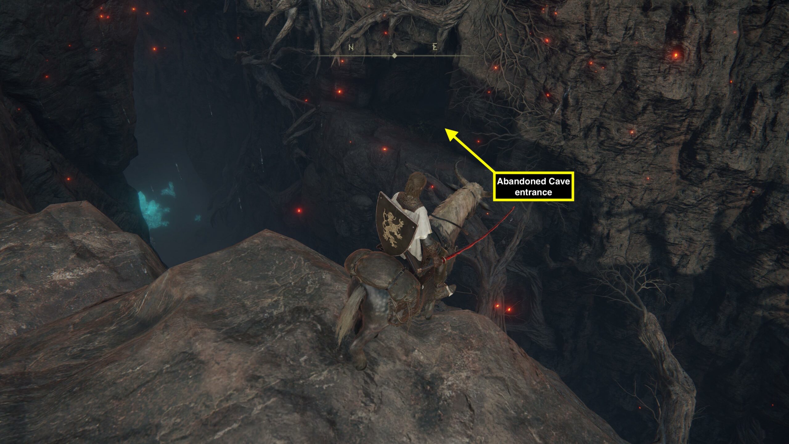 a woman on a horse looks at a cavern with branches stretching across it