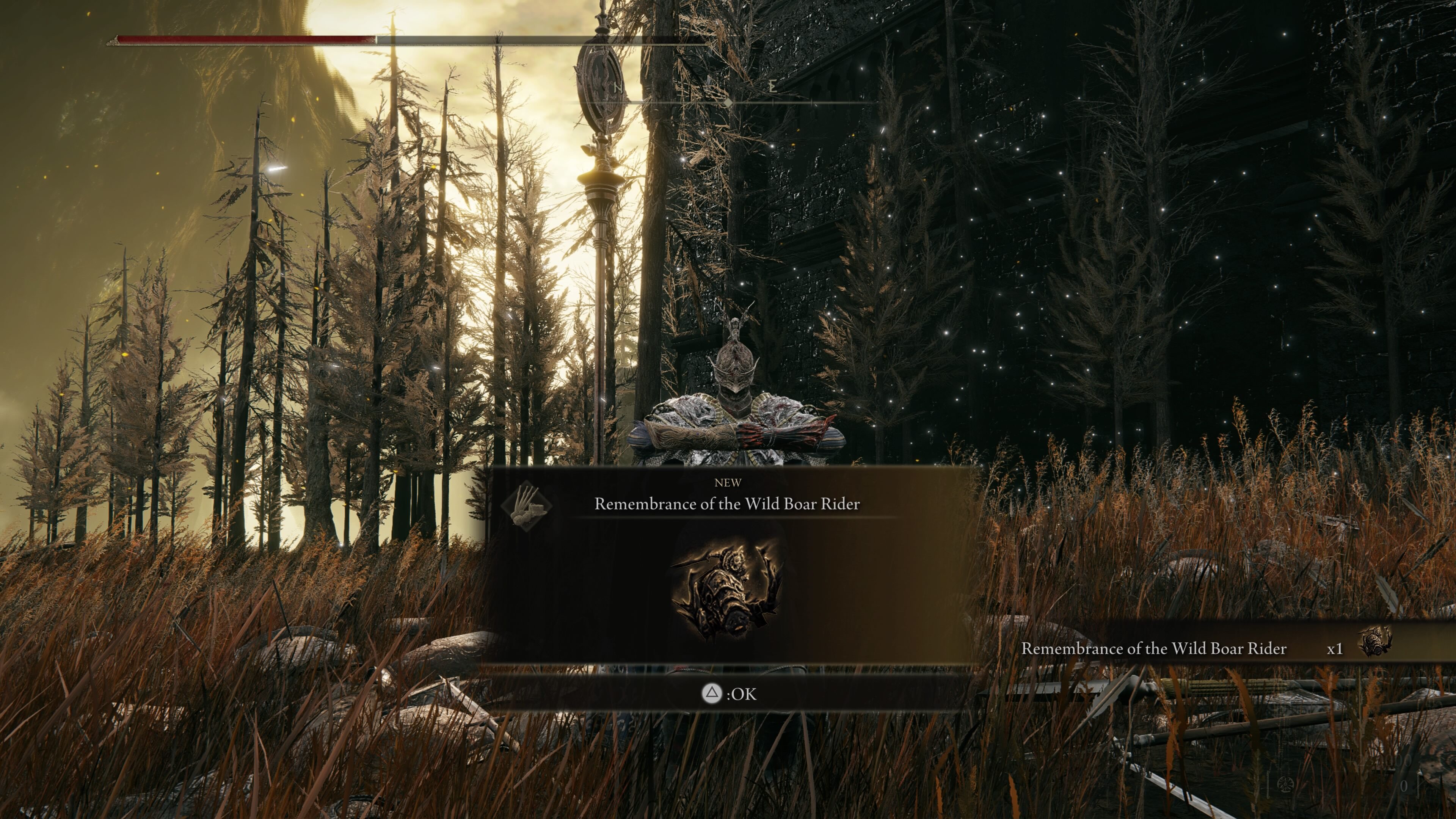 elden ring shadow of the erdtree how to beat commander gaius - our character poses after beating the boss