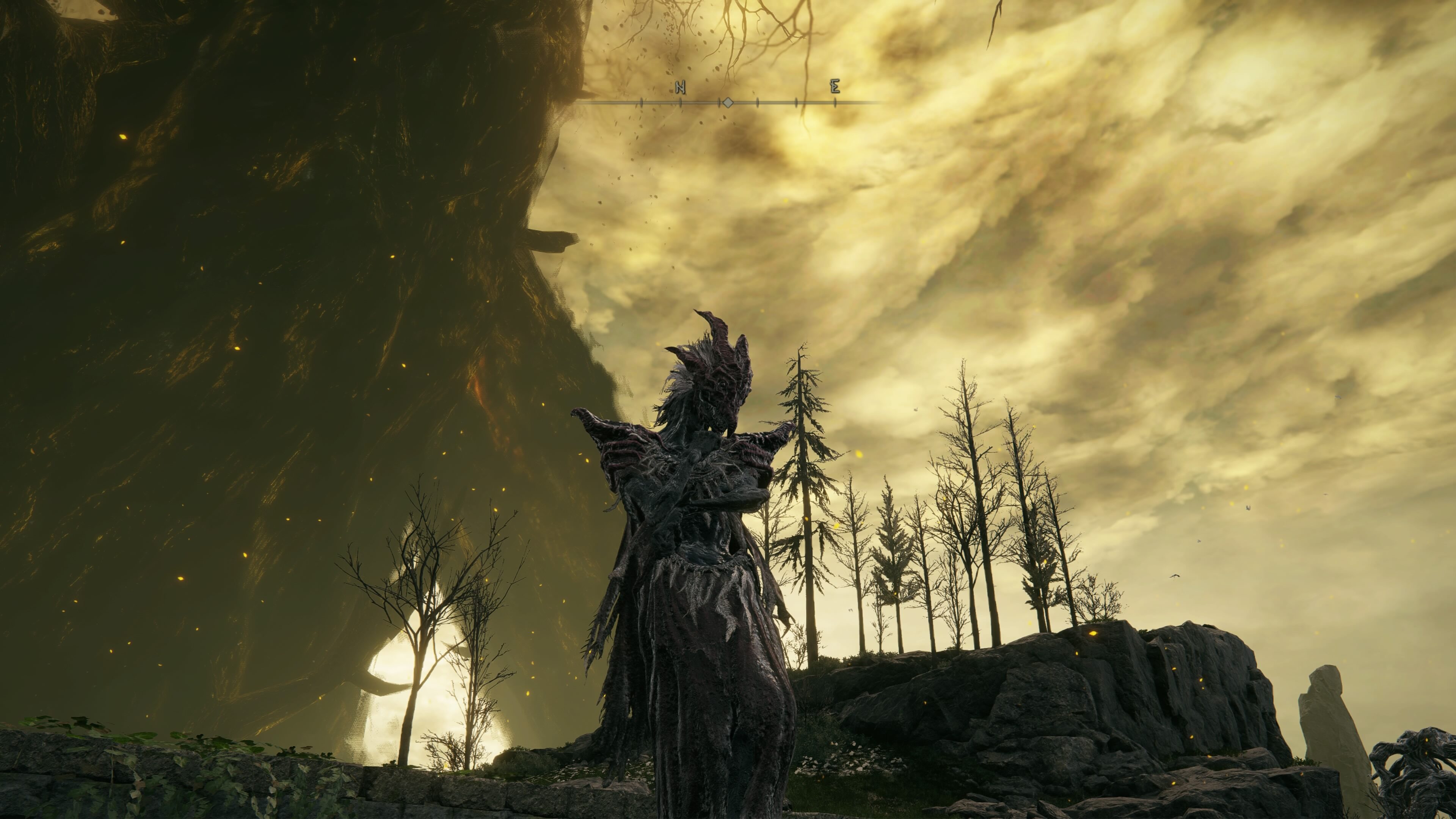 priestess heart elden ring shadow of the erdtree -a dragon person stands in front