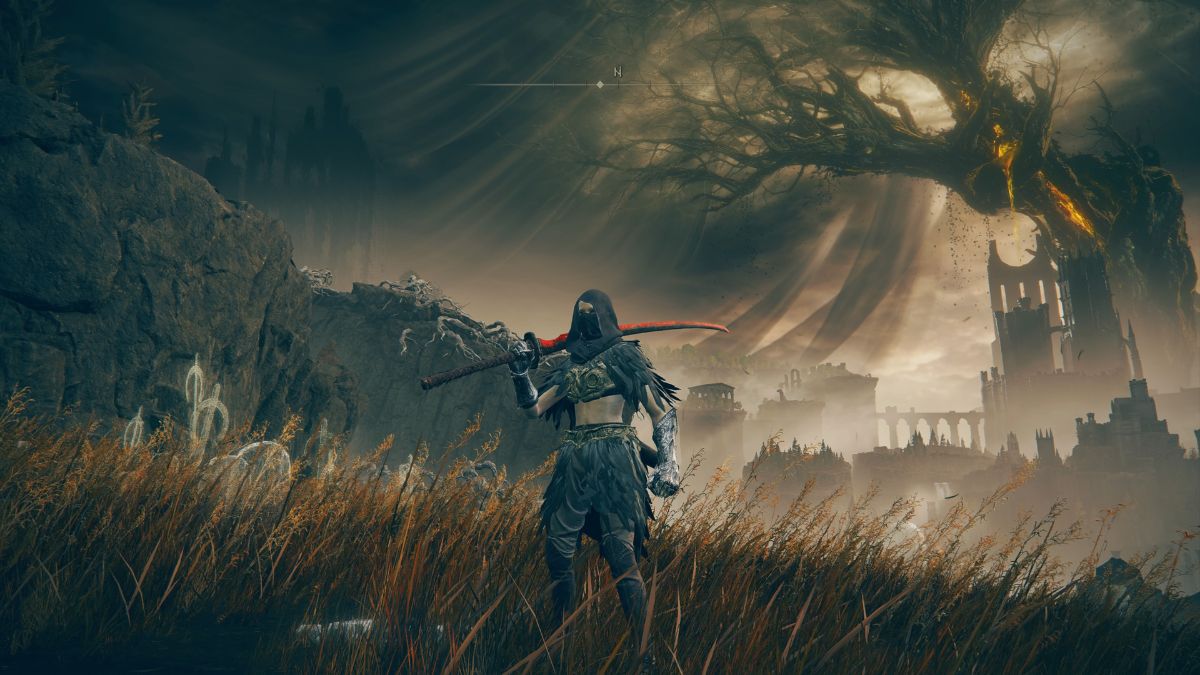 Elden Ring Shadow of the Erdtree Rakshasa's Great Katana - Player holding great katana in field