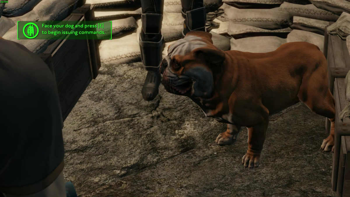 Fallout Londo  Tips: Picture of the dog companion in the Fallout London mod.
