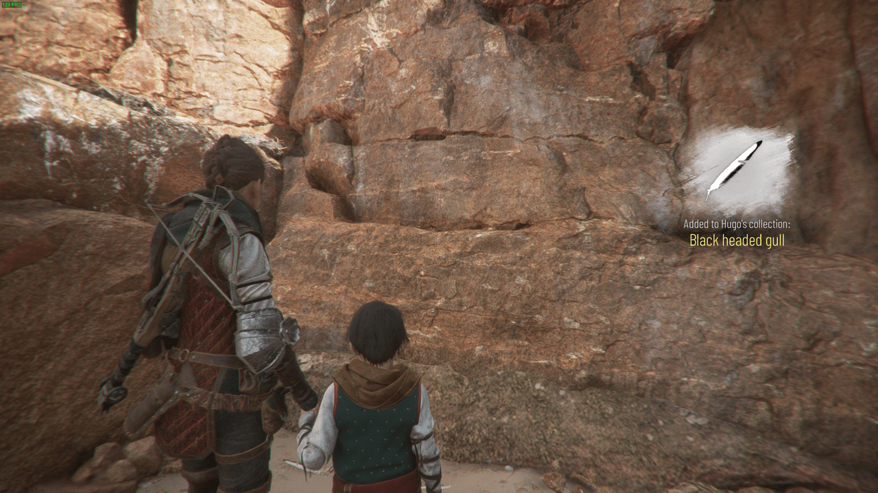 A Plague Tale: Requiem Feathers