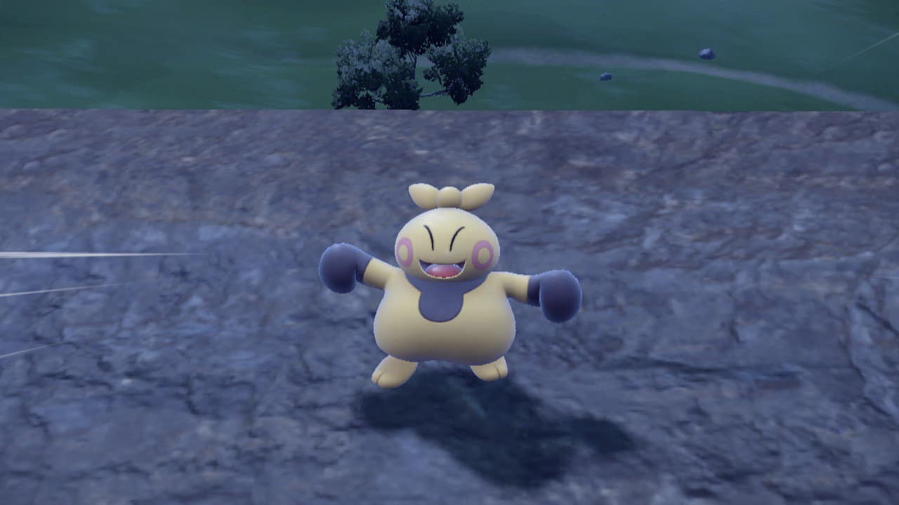 Fighting type Pokemon