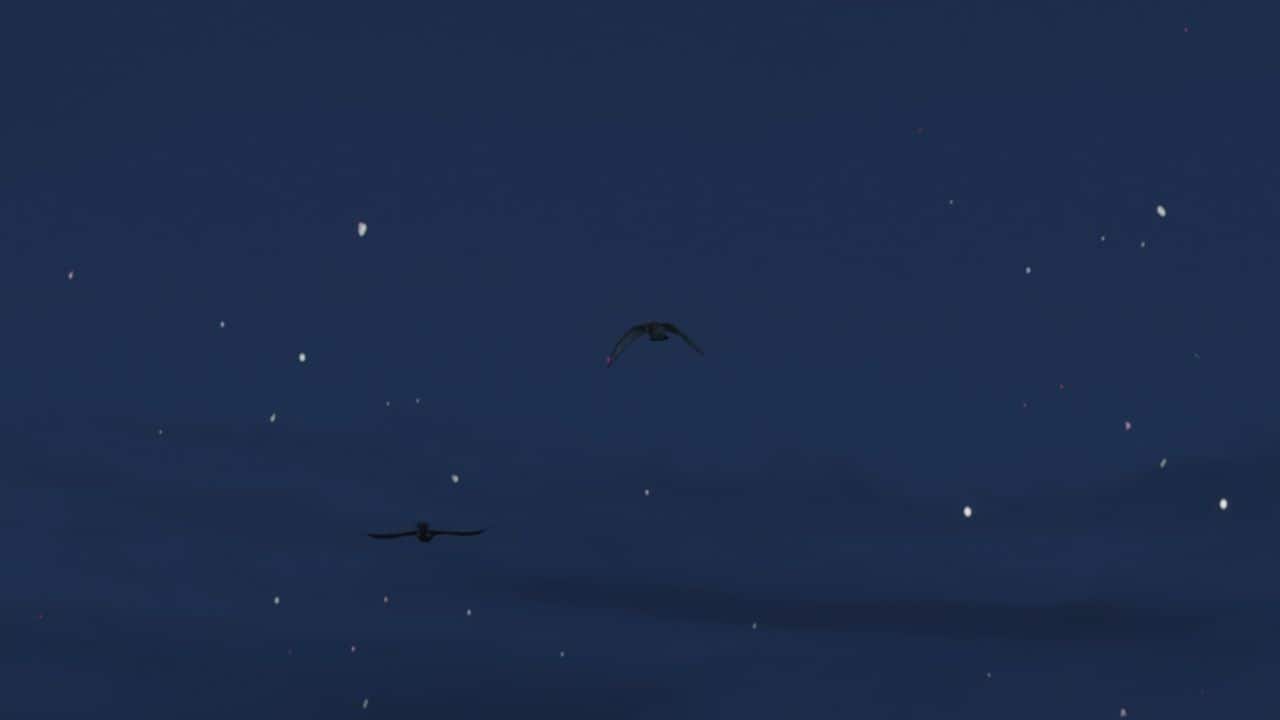 Two cormorants flying in GTA Online. Image captured by VideoGamer.