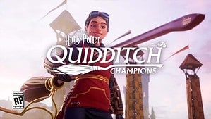 Harry Potter Quidditch Champions
