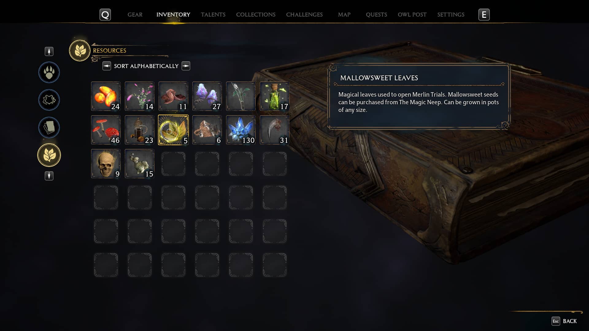 Hogwarts Legacy – How to Get Mallowsweet