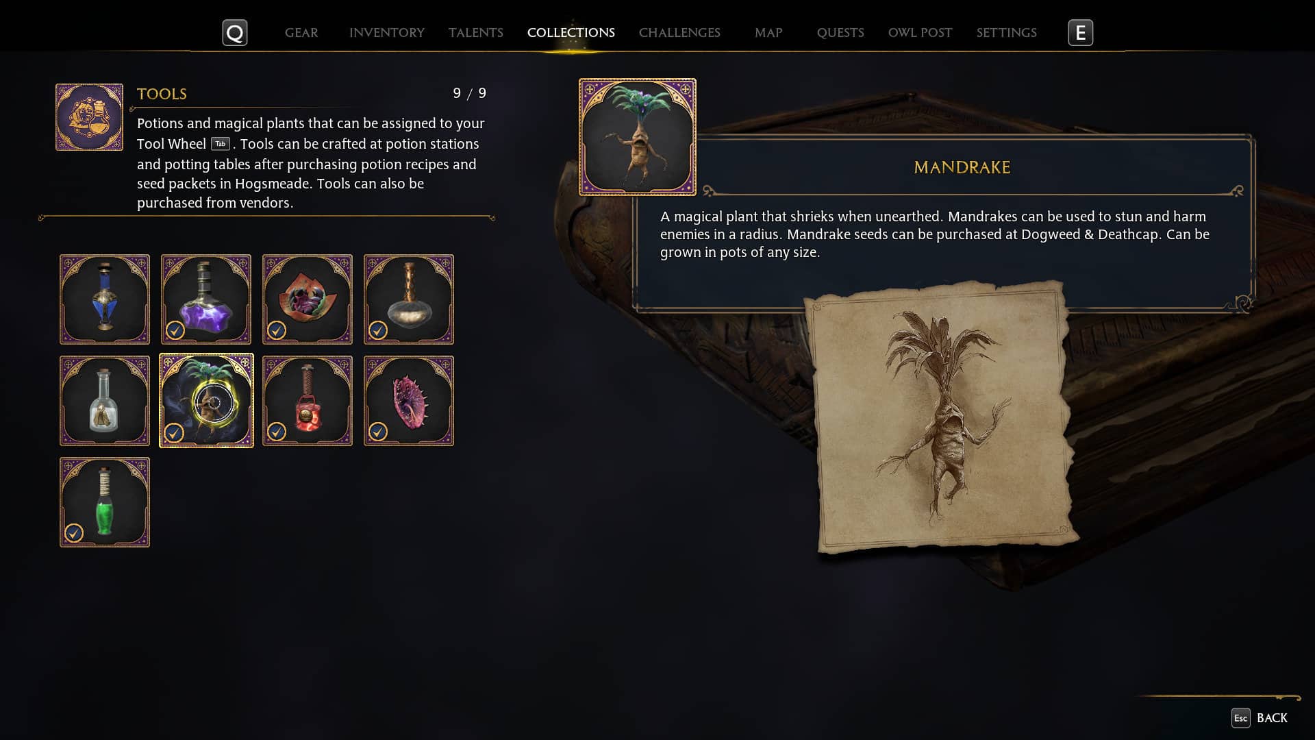 Hogwarts Legacy – How to Get Mandrake
