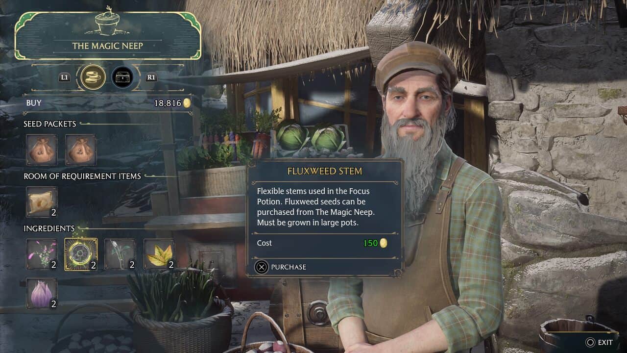 Buying Fluxweed Stem from The Magic Neep in Hogwarts Legacy