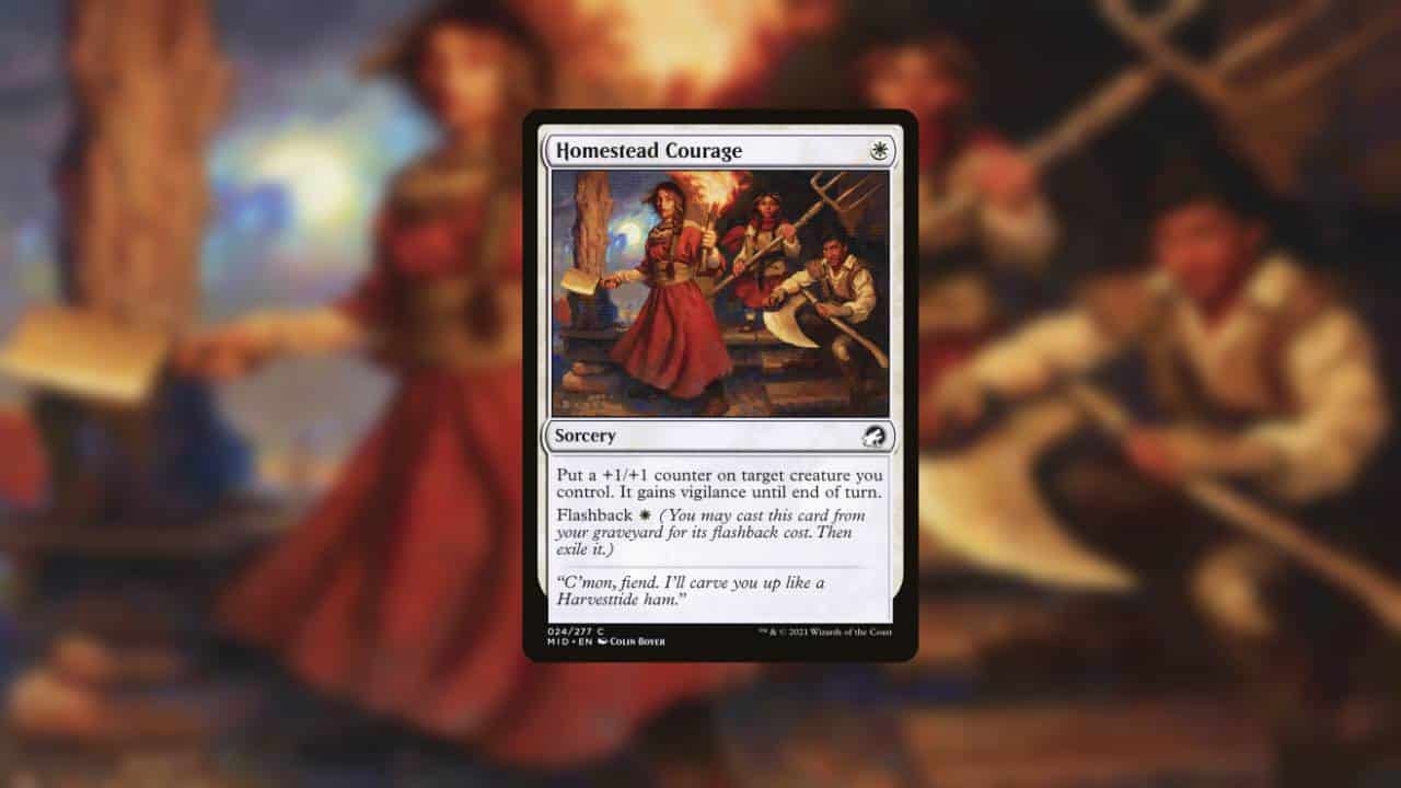 A picture of a woman with a sword in front of her, showcasing her mastery in one of the best budget standard decks available.