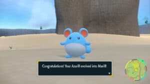 How to Evolve Azurill into Marill and Azumarill in Pokemon Scarlet and Violet