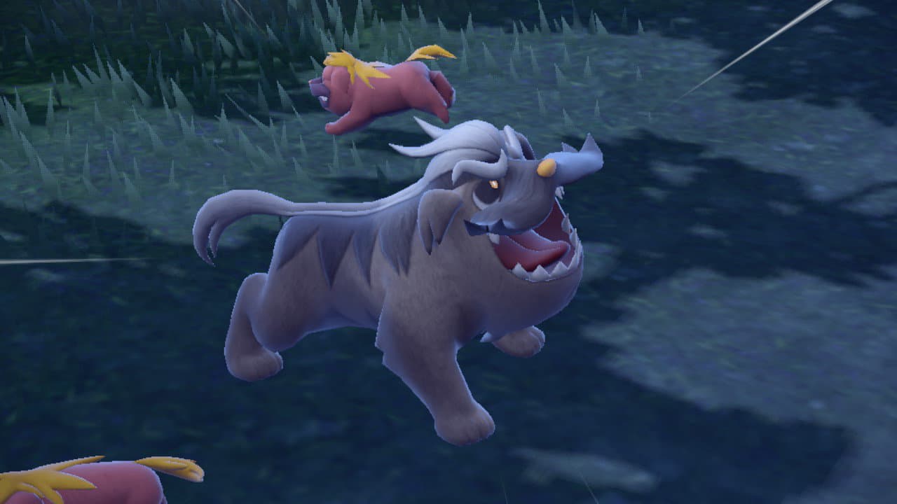 How to Evolve Maschiff