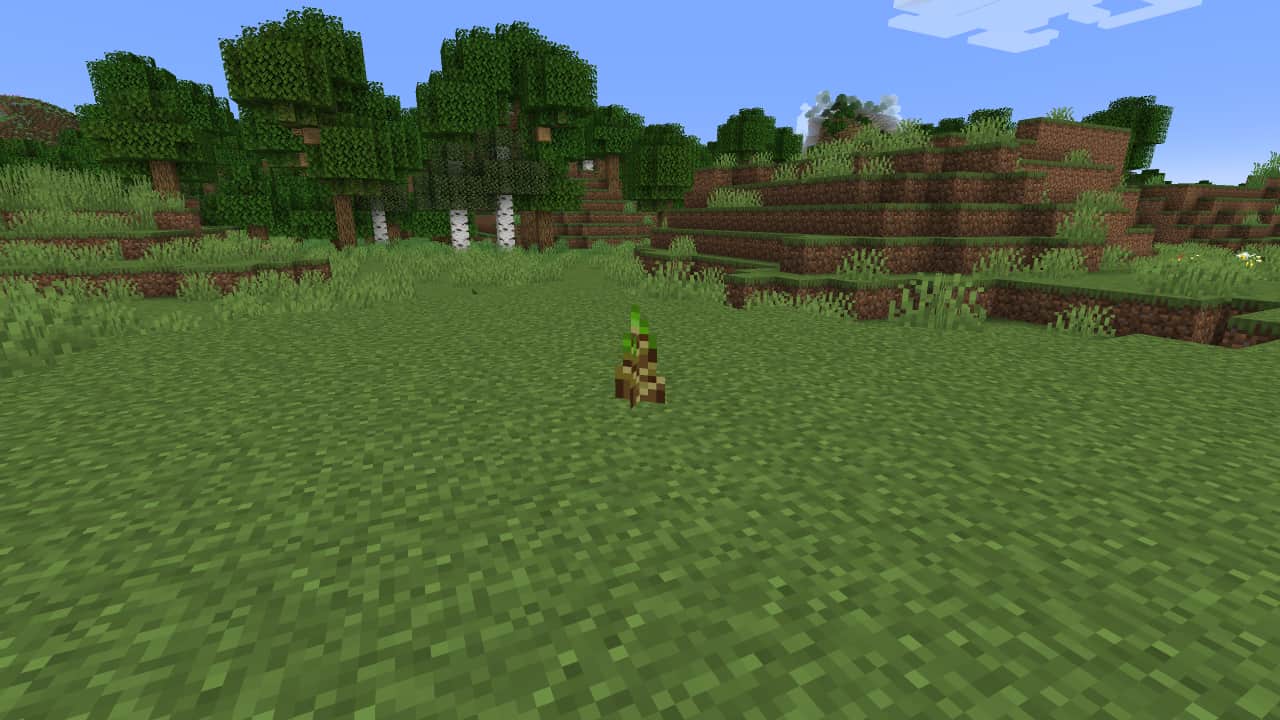 How to make a Minecraft bamboo farm: A bamboo sapling is placed on a grass block in an open area.