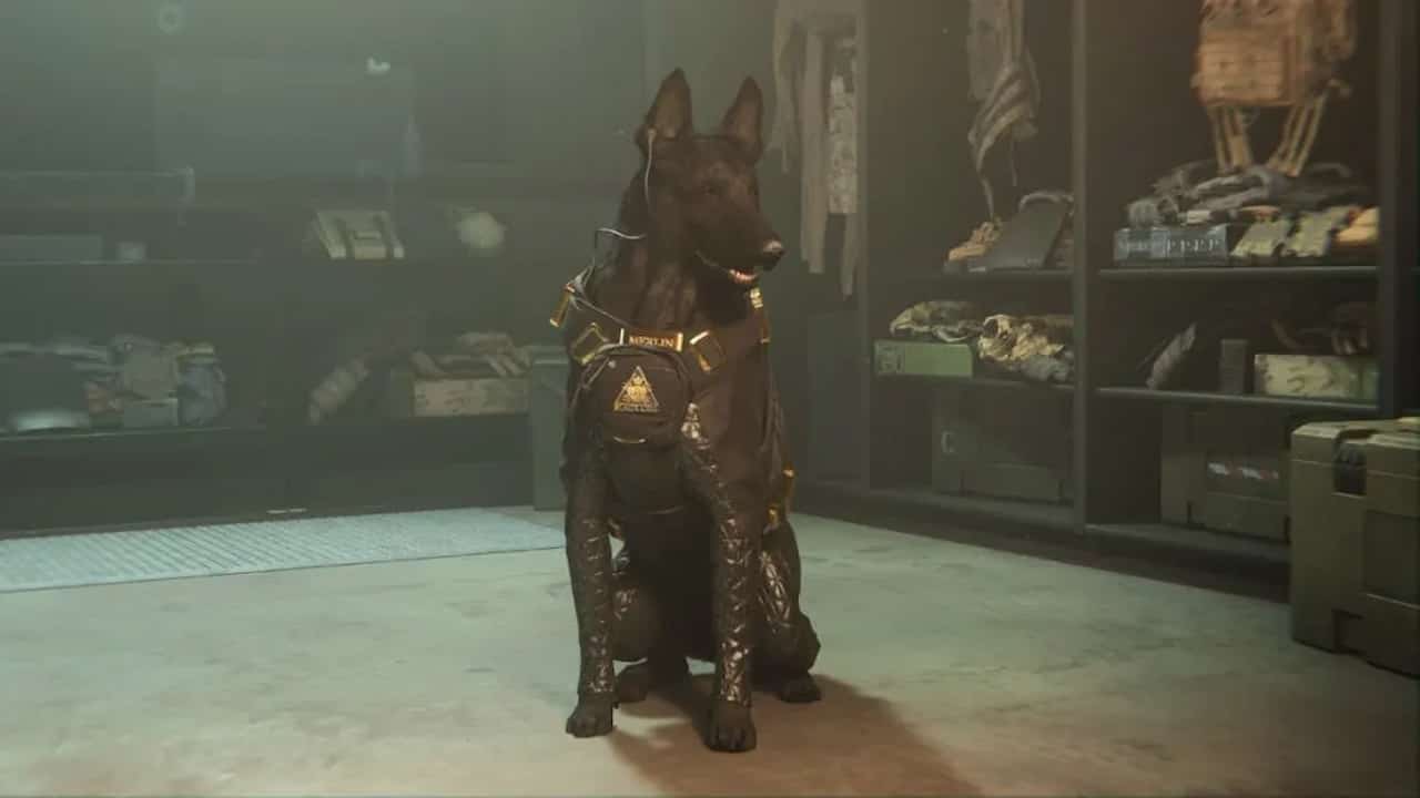 How to get the Dog in Modern Warfare 2 and Warzone