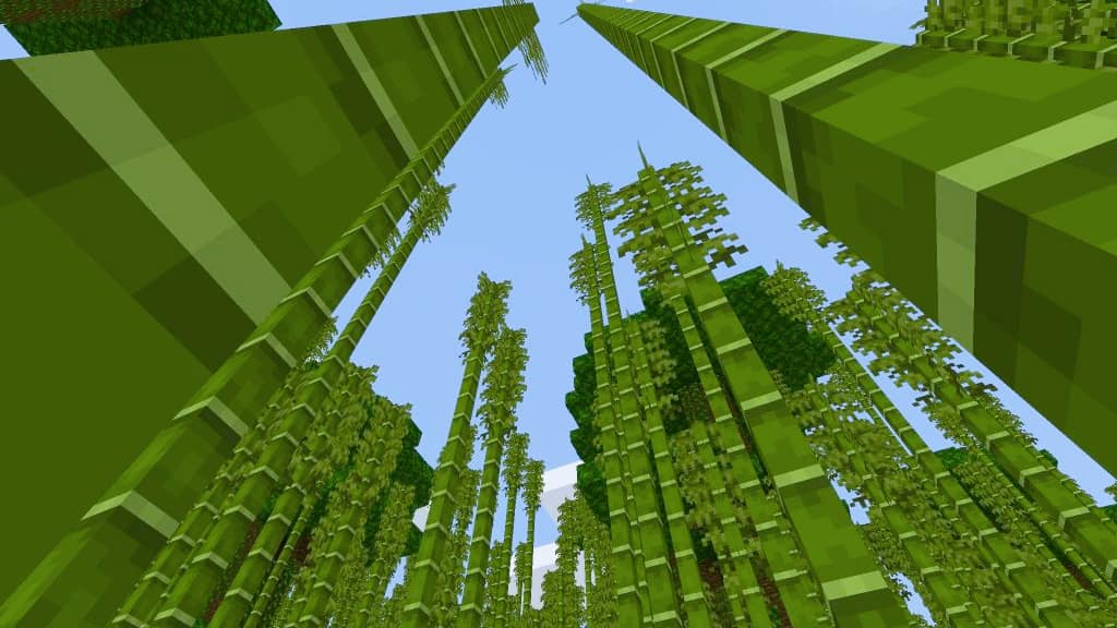 How to make a Minecraft bamboo farm: A dense bamboo forest.