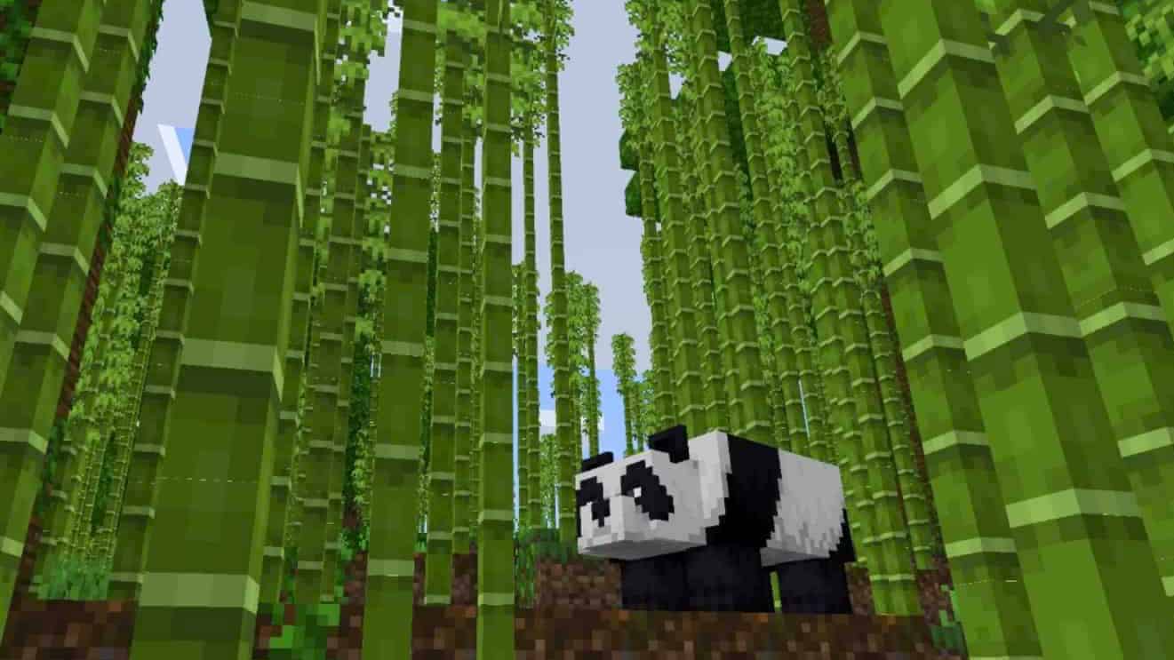 How to make a Minecraft bamboo farm: Panda in a bamboo forest