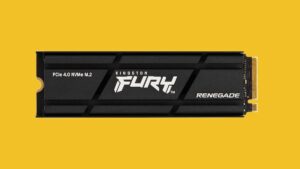Kingston Fury Renegade 2TB Internal SSD