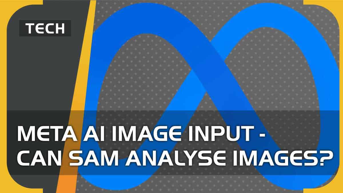Meta AI image input - can SAM analyse images?