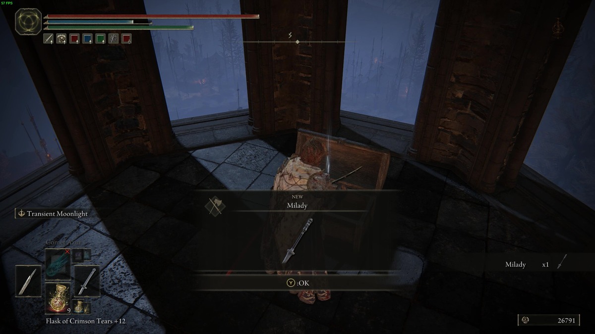Elden Ring Shadow of the Erdtree best early weapons: Tarnished in the realm of shadow.