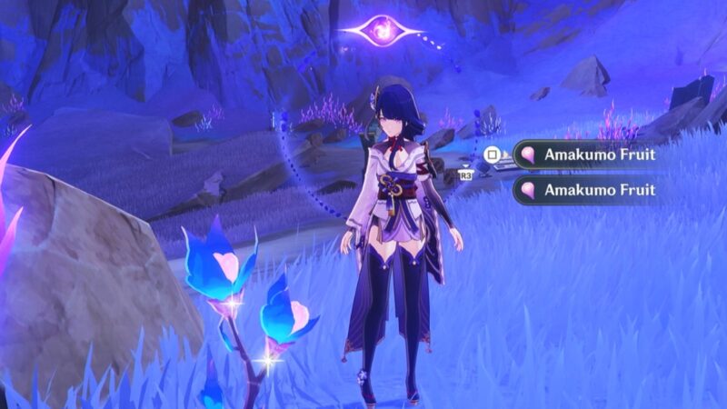 Amakumo Fruit in Genshin Impact