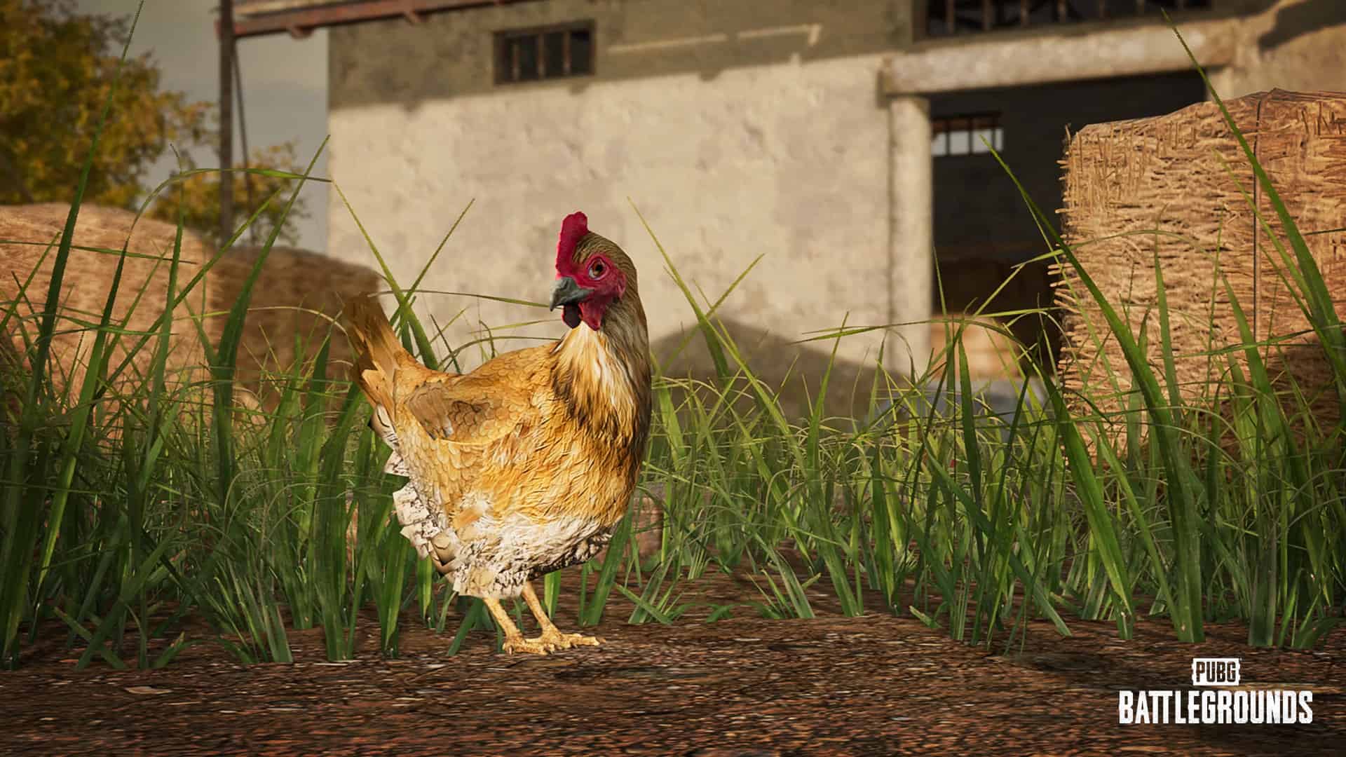 PUBG: Battlegrounds adds DBNO swimming and chickens in latest update