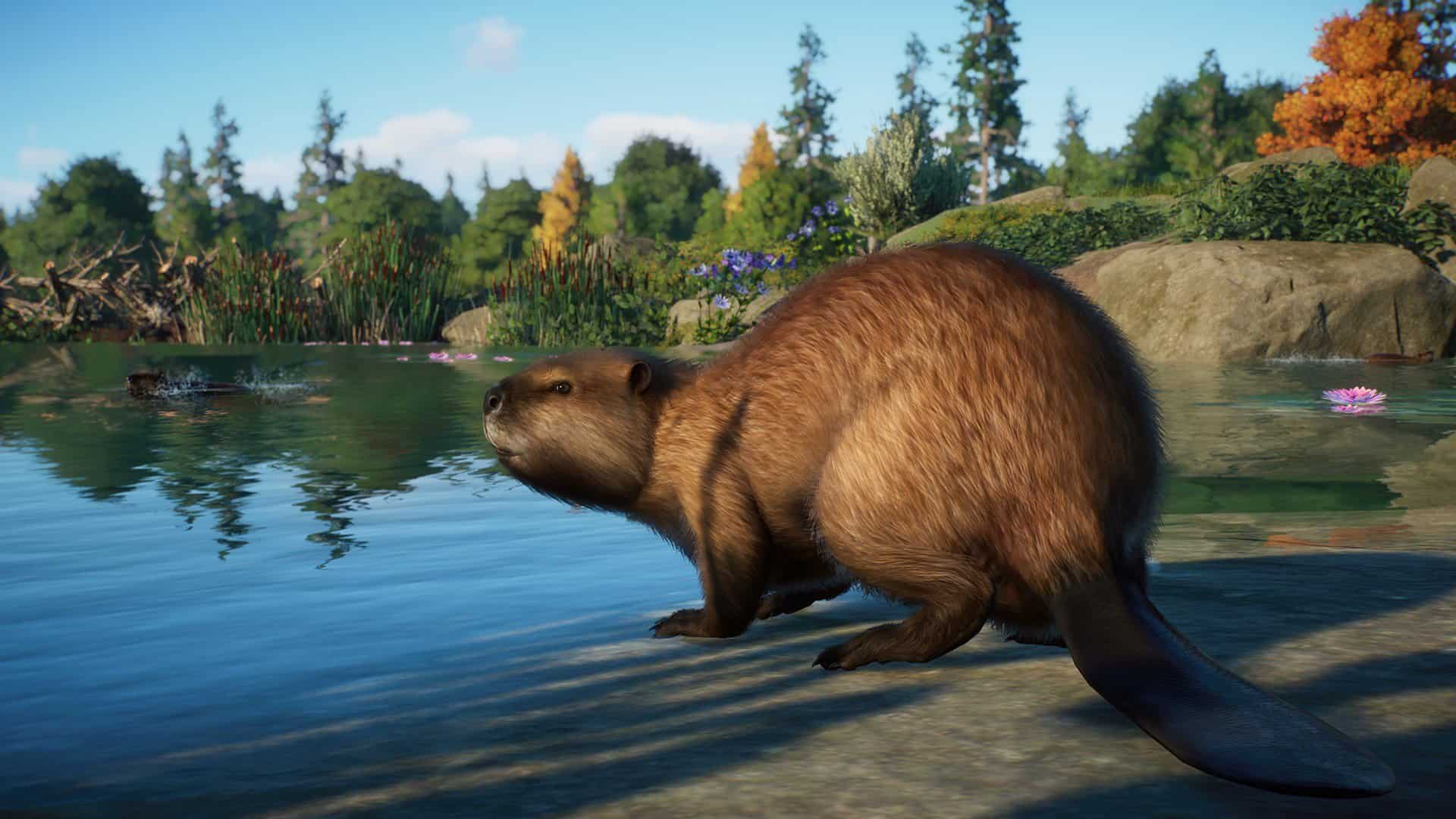 Planet Zoo gets a North America Animal Pack next month