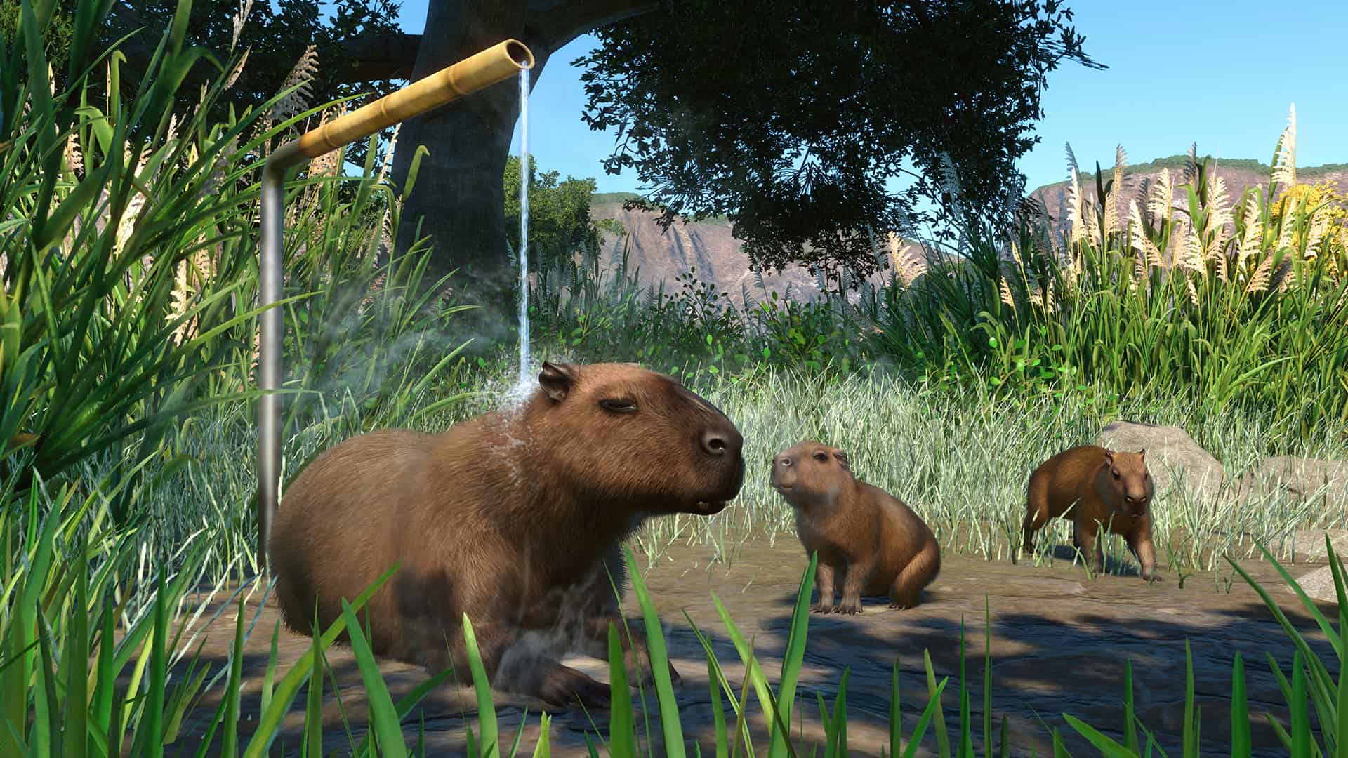 Planet Zoo gets capybaras and more in its Wetlands Animal Pack, out today