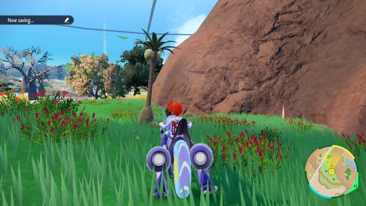 Pokemon-SCarlet-and-Violet-Indigo-Disk-Alolan-Pokemon-Player-Near-Alolan-Exeggutor